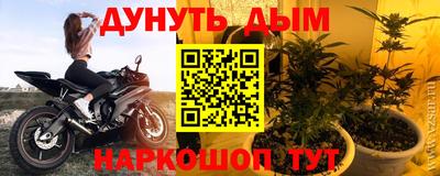 индика Краснознаменск