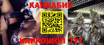 индика Краснознаменск