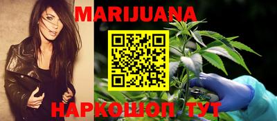 индика Краснознаменск