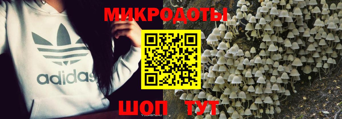 Галлюциногенные грибы прущие грибы  Вход с VPN  Псилоцибиновые грибы мицелий  Губаха 
